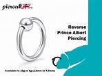 Prince Albert Piercing Captive Bead Ring Piercings for | Etsy Australia