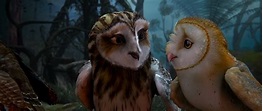 Legend of the Guardians: The Owls of Ga'Hoole (2010)