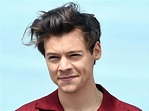 Share more than 80 harry styles 2023 hairstyle - in.eteachers