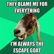 The Best Goat Memes, Jokes, and Puns | Goats funny, Goats, Funny goat memes