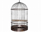 Albert's Sermon Illustrations: The Empty Bird Cage