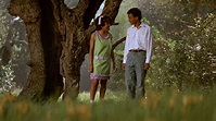 The Learning Tree (1969) - AZ Movies