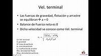 OTM119 Velocidad Terminal - YouTube