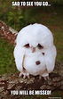 Sad to see you go... You will be missed! - Sad Owl Meme Generator