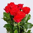 Lista 104+ Foto Una Rosa Roja Para El Amor Alta Definición Completa, 2k, 4k