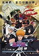 Bleach Pelicula N° 1 - Memories of Nobody Sub/Español (mg)(pl)