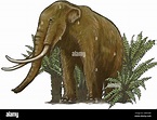 Arte de la especie joven de mamut lanudo (Mammuthus primigenius) que ...
