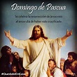 Top 196+ Imagenes de domingo de pascua - Destinomexico.mx