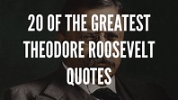 20 Of The Greatest Theodore Roosevelt Quotes