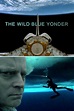 The Wild Blue Yonder (2005) - Posters — The Movie Database (TMDB)