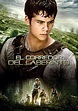 El corredor del laberinto (2014) - Pósteres — The Movie Database (TMDB)