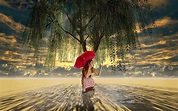 Beautiful Rainy Day Wallpaper (72+ images)