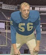 Image Gallery of Joe Schmidt | NFL Past Players