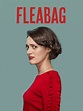 Fleabag Where To Watch And Stream TV Guide | vlr.eng.br