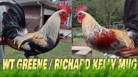 Beautiful WT Greene Grey Richard Kelly Mug A&N Farm Visit Georgia - YouTube