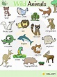 Wild Animals: List of Wild Animal Names in English with Images • 7ESL