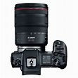 Canon EOS R Body 最新價錢及購物優惠 - DCFever.com