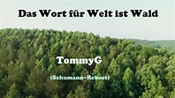 Das Wort für Welt ist Wald (Schumann) - YouTube