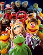 The Muppets Members - Comic Vine