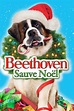 Beethoven's Christmas Adventure (2011) • movies.film-cine.com