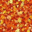 Fondo de hojas de otoño | Vector Premium