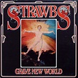 Strawbs : Grave New World