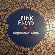 Pink Floyd Comfortably Numb Lyrics hand painted on vinyl by | Etsy
