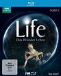 Life – Das Wunder Leben. Vol. 1. Die Serie zum Film “Unser Leben“ [Blu ...