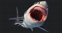 modelo 3d Gran tiburón blanco animado - TurboSquid 1367328