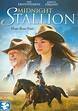 Midnight Stallion (DVD 2012) | DVD Empire
