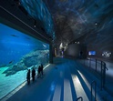 Blue Planet public aquarium Lighted by Orphek