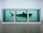 Damien Hirst, "The Physical Impossibility of Death in the Mind of ...