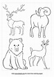 Free North America Animals Coloring Page | Coloring Page Printables ...