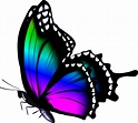 Download HD Butterfly - Butterfly Png Hd Colors Transparent PNG Image ...