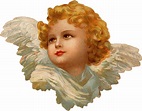 Download Angel Face Looking Left transparent PNG - StickPNG