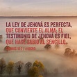 La ley de Jehová es perfecta, que convierte el alma; El testimonio de ...