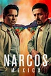 Narcos: México 3ª Temporada (2021) Dublado e Legendado Filmes HD Torrent