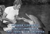 怎样评价电影《海豚湾》，对与日本这种行为的揭露？和日本这样的行为？ - 知乎