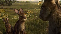 La collina dei conigli: recensione della miniserie Netflix ...