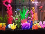 Colorful glofish tank | Glofish tank, Fish aquarium decorations, Fish ...