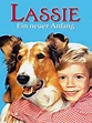 Amazon.de: Lassie - Ein neuer Anfang ansehen | Prime Video