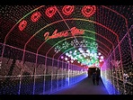 安山星光村Photo land光庆典 | 안산 별빛마을 포토랜드 빛축제 : TRIPPOSE