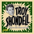 The Best of Troy SHONDELL - Before This Time and After