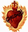 MESE AL SACRO CUORE DI GESU’ (4 Giugno) – IL CUORE | www.immaculate.one