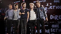 One Direction: this is us - La Provincia