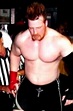 Sheamus (stephen farrelly), wrestler