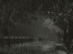 dark rain gifs - eekono-fineart.com