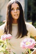 40 Beautiful Portrait Photos of Ali MacGraw in the 1960s and Early ’70s ...