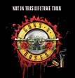 Guns N' Roses Expand "Not in This Lifetime" Reunion Tour, Add Several ...