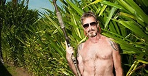 'Gringo: The Dangerous Life of John McAfee' is the defining documentary ...